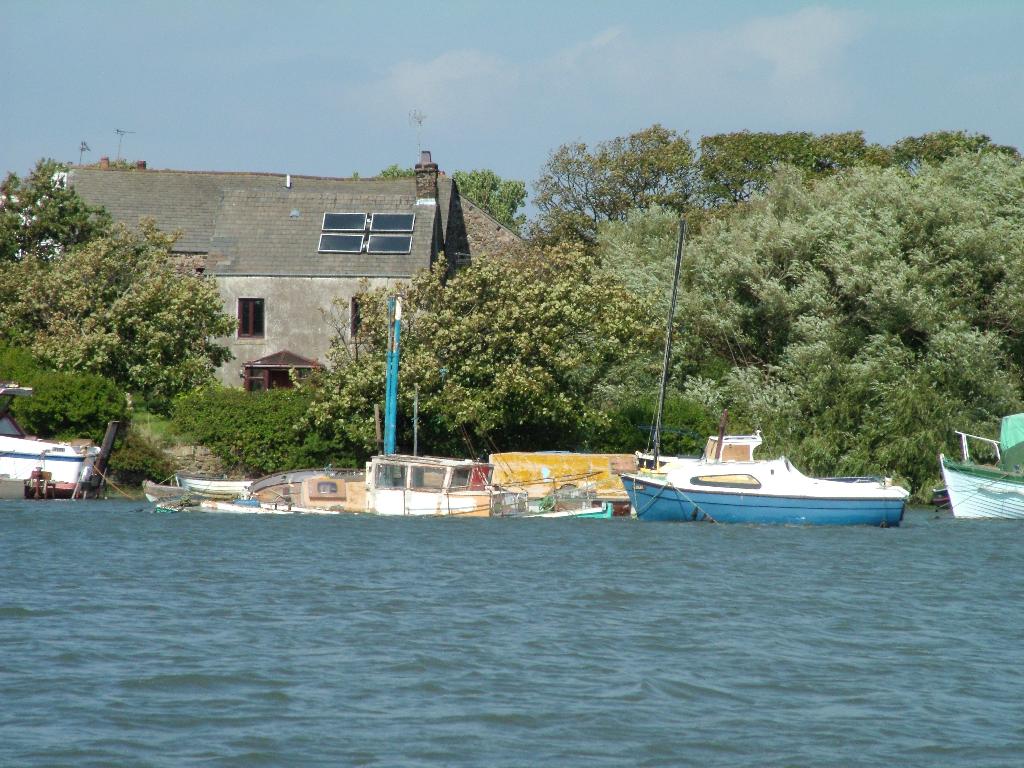 Click now to see this image full size.