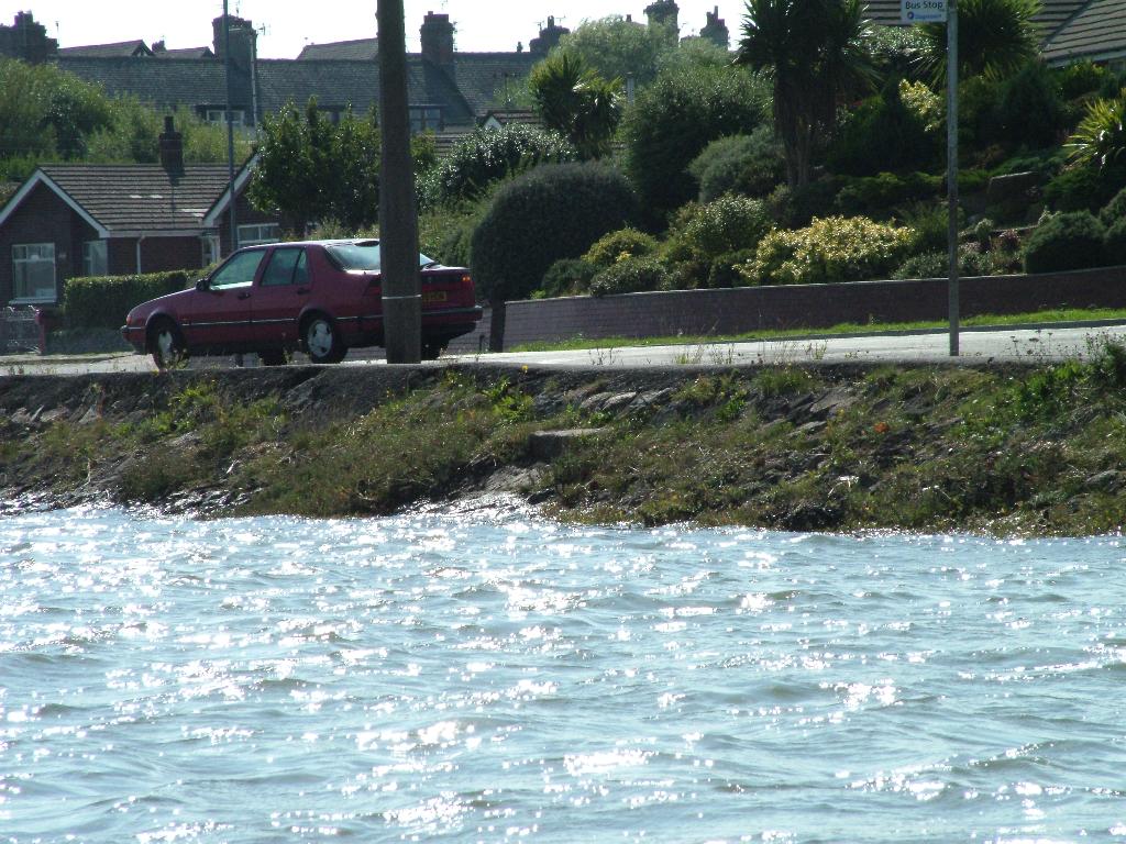 Click now to see this image full size.