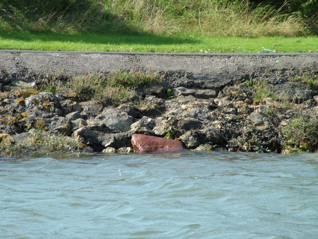 Click now to see this image full size.