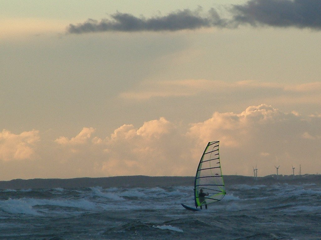 Click now to see this image full size.