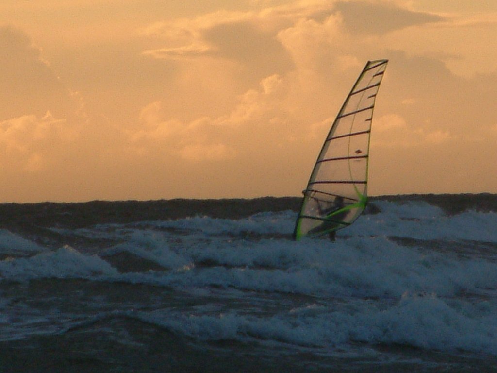 Click now to see this image full size.