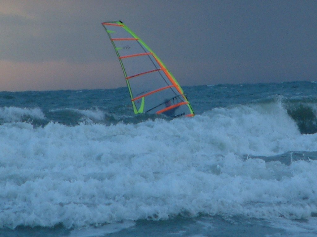 Click now to see this image full size.