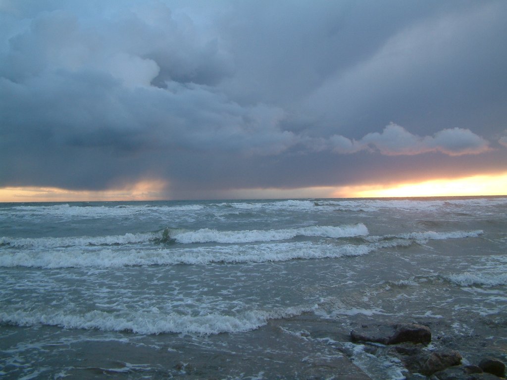 Click now to see this image full size.