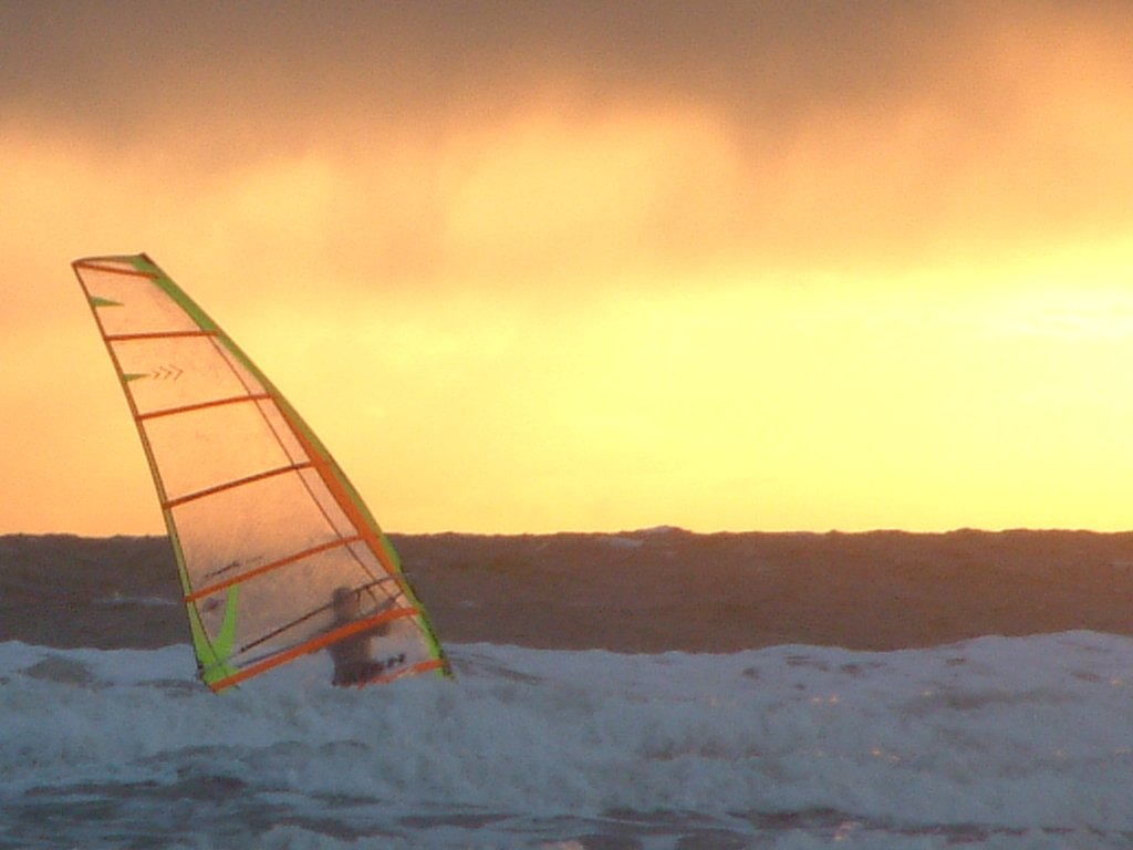 Click now to see this image full size.