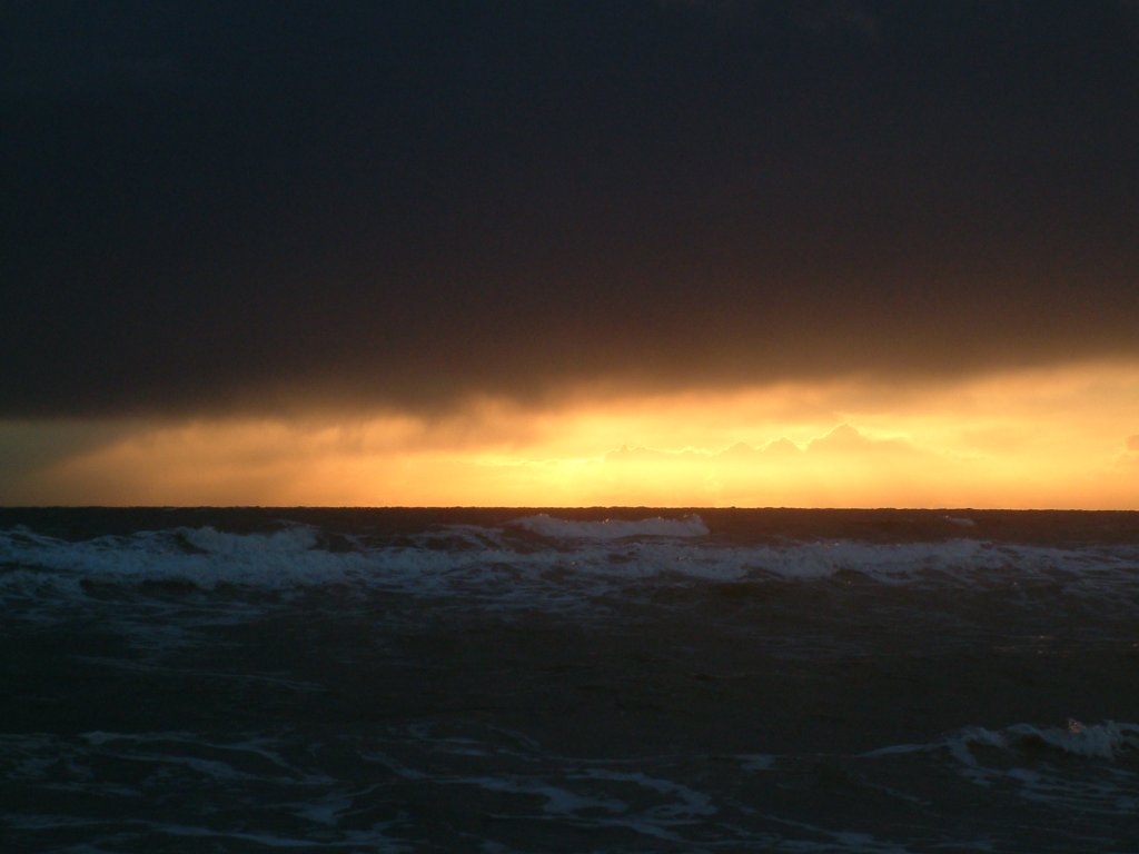 Click now to see this image full size.