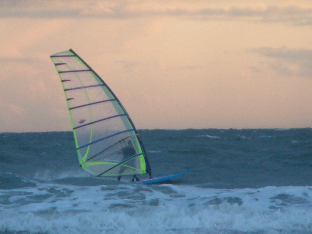 Click now to see this image full size.