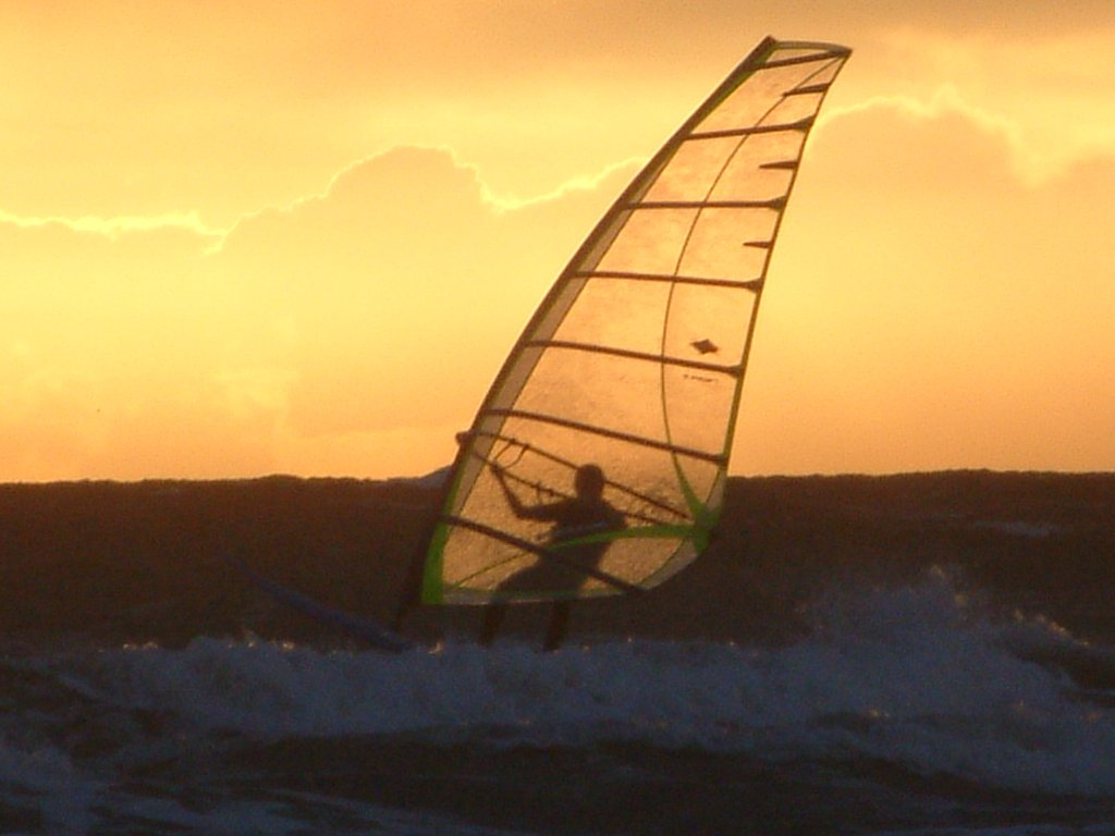 Click now to see this image full size.