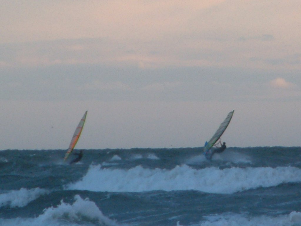 Click now to see this image full size.