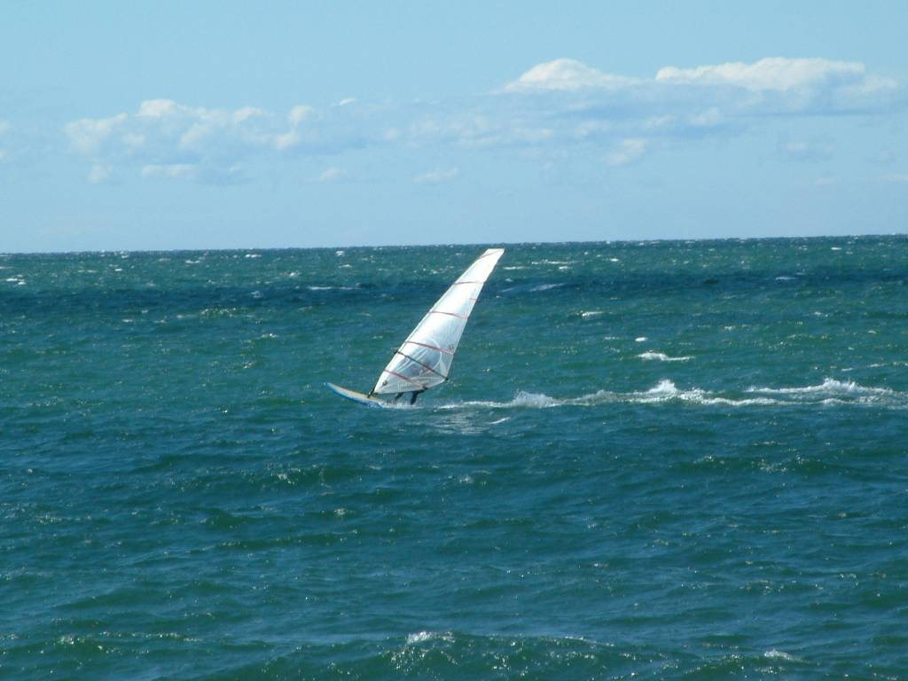 Click now to see this image full size.