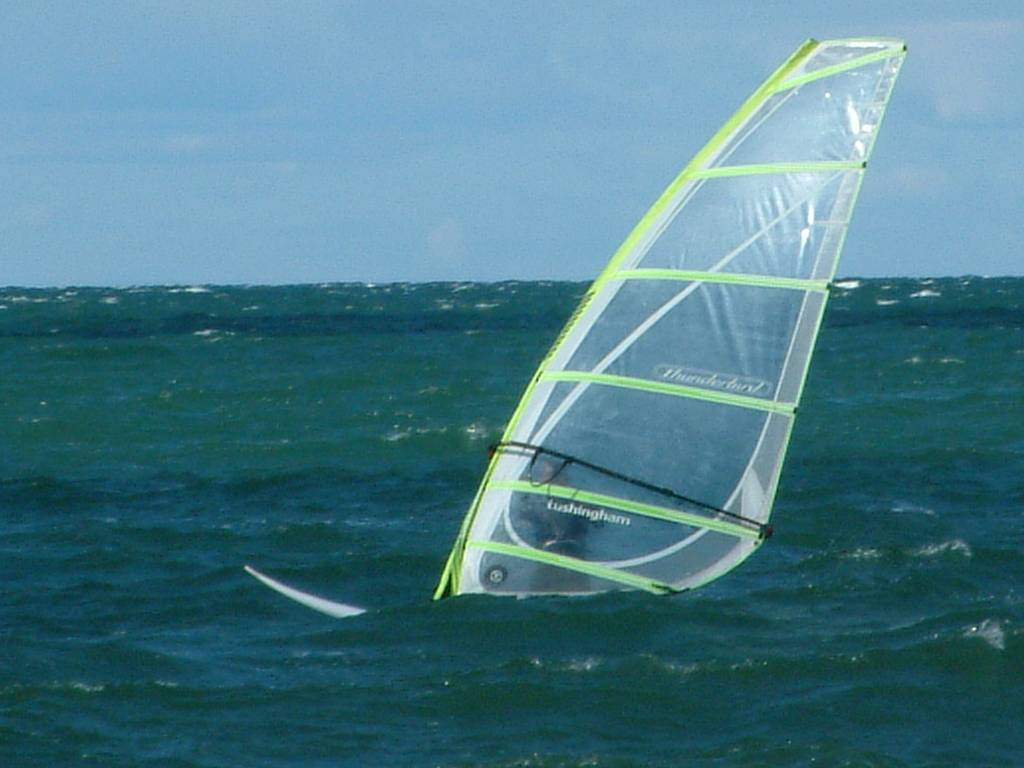 Click now to see this image full size.