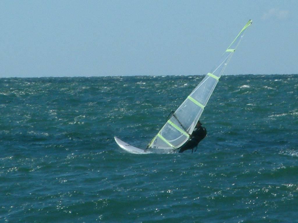 Click now to see this image full size.