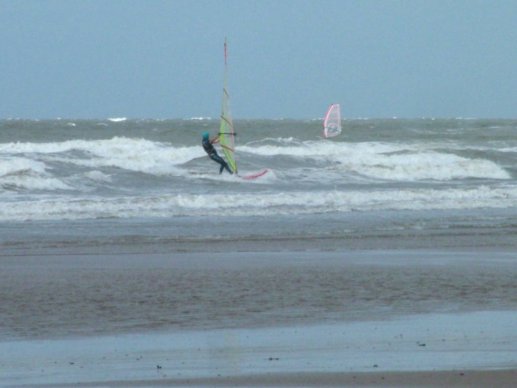 Click now to see this image full size.