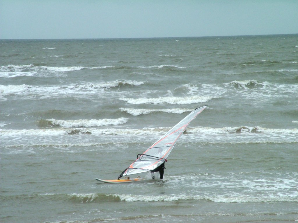 Click now to see this image full size.