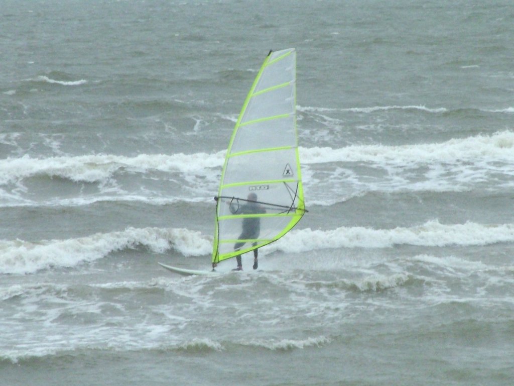 Click now to see this image full size.