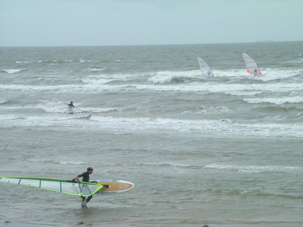 Click now to see this image full size.