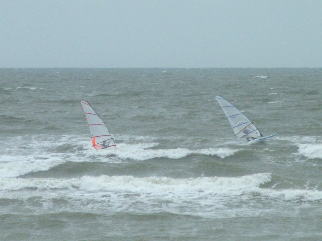 Click now to see this image full size.