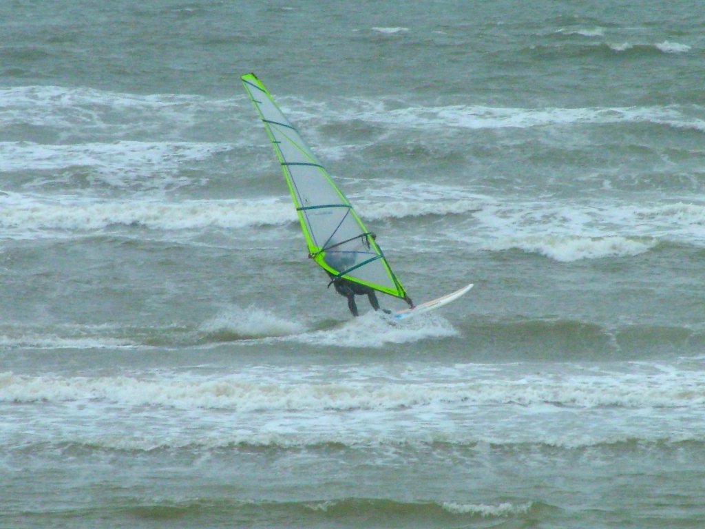 Click now to see this image full size.