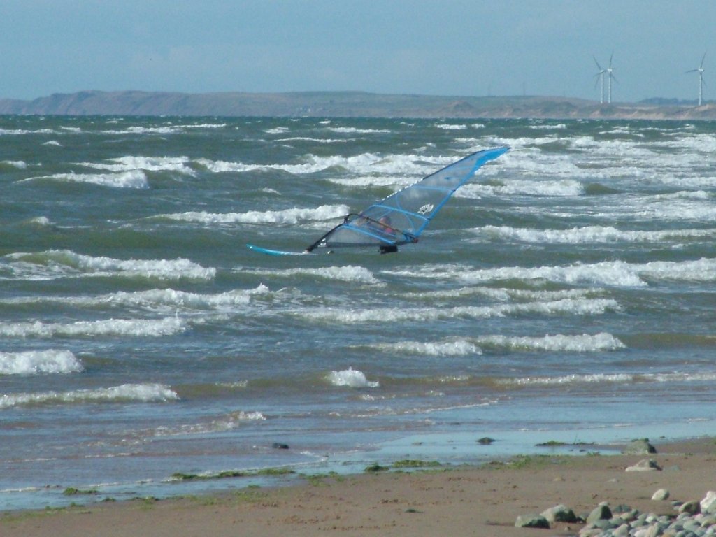 Click now to see this image full size.