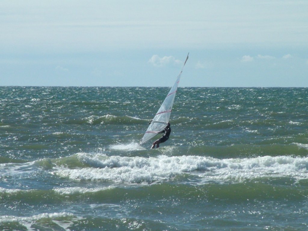 Click now to see this image full size.