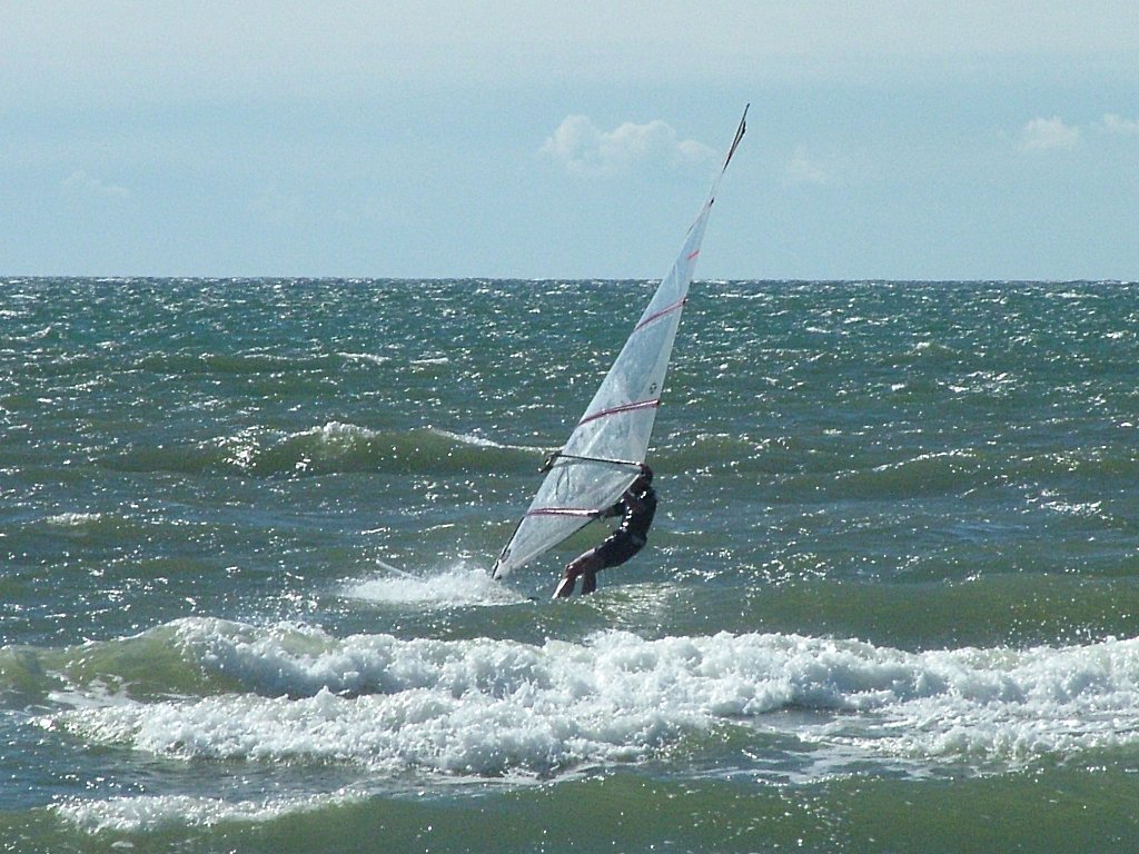 Click now to see this image full size.