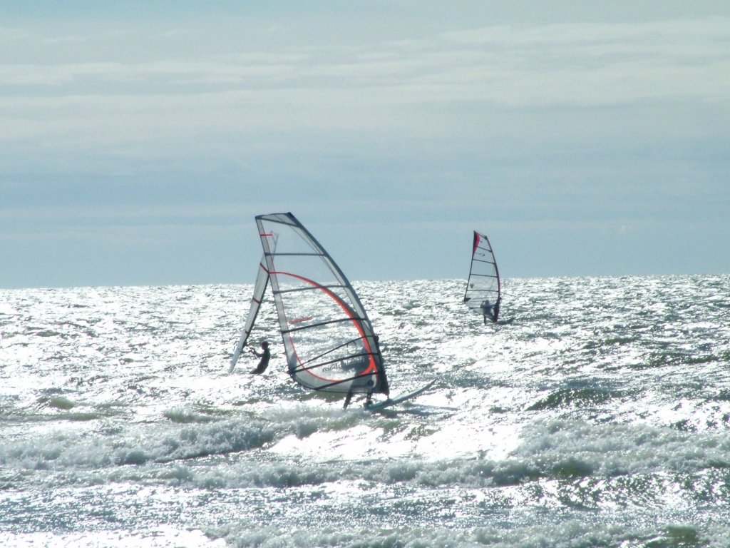 Click now to see this image full size.