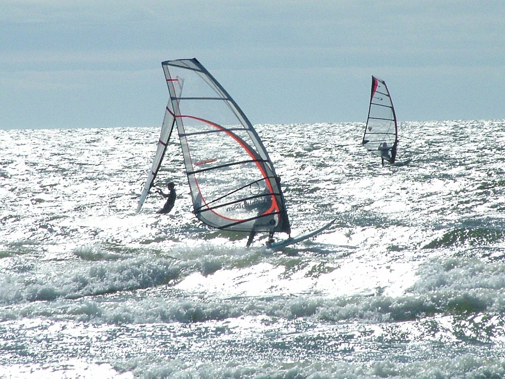 Click now to see this image full size.