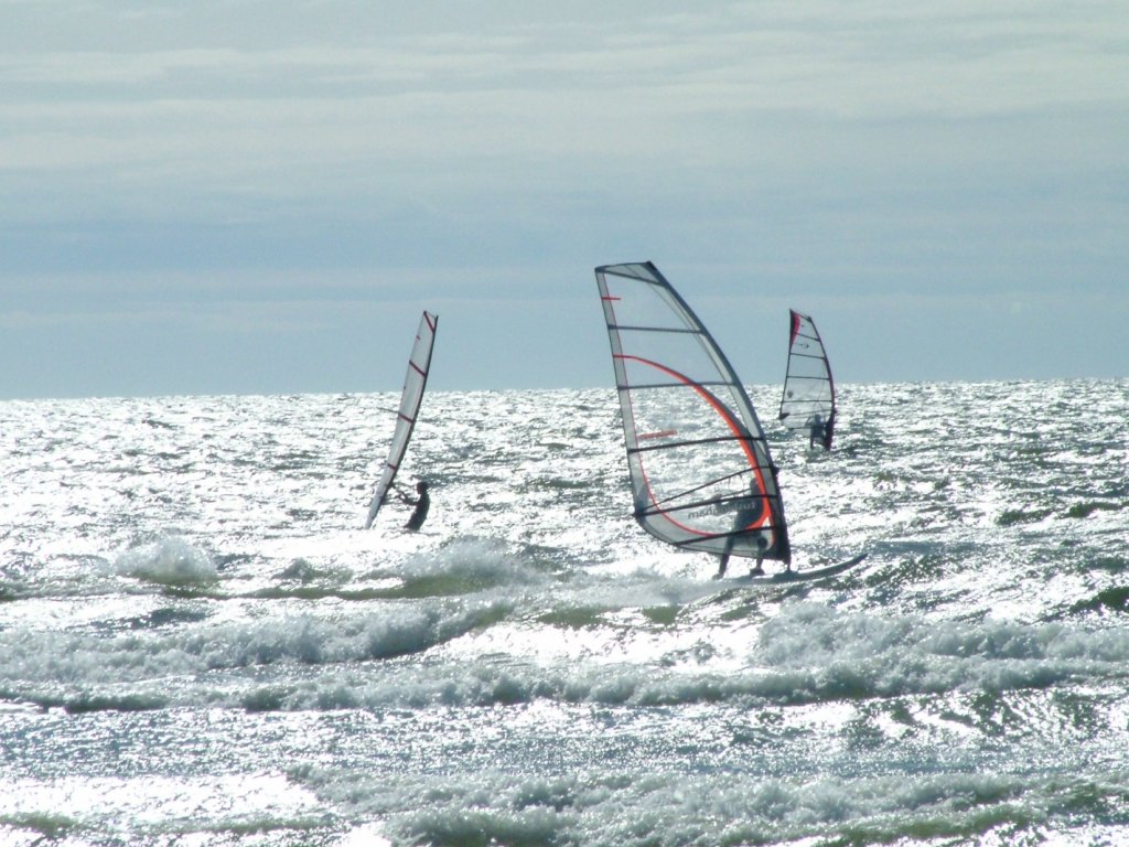 Click now to see this image full size.