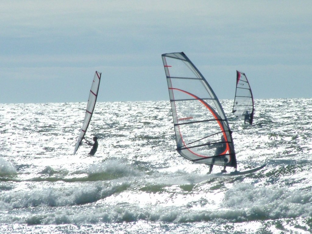 Click now to see this image full size.