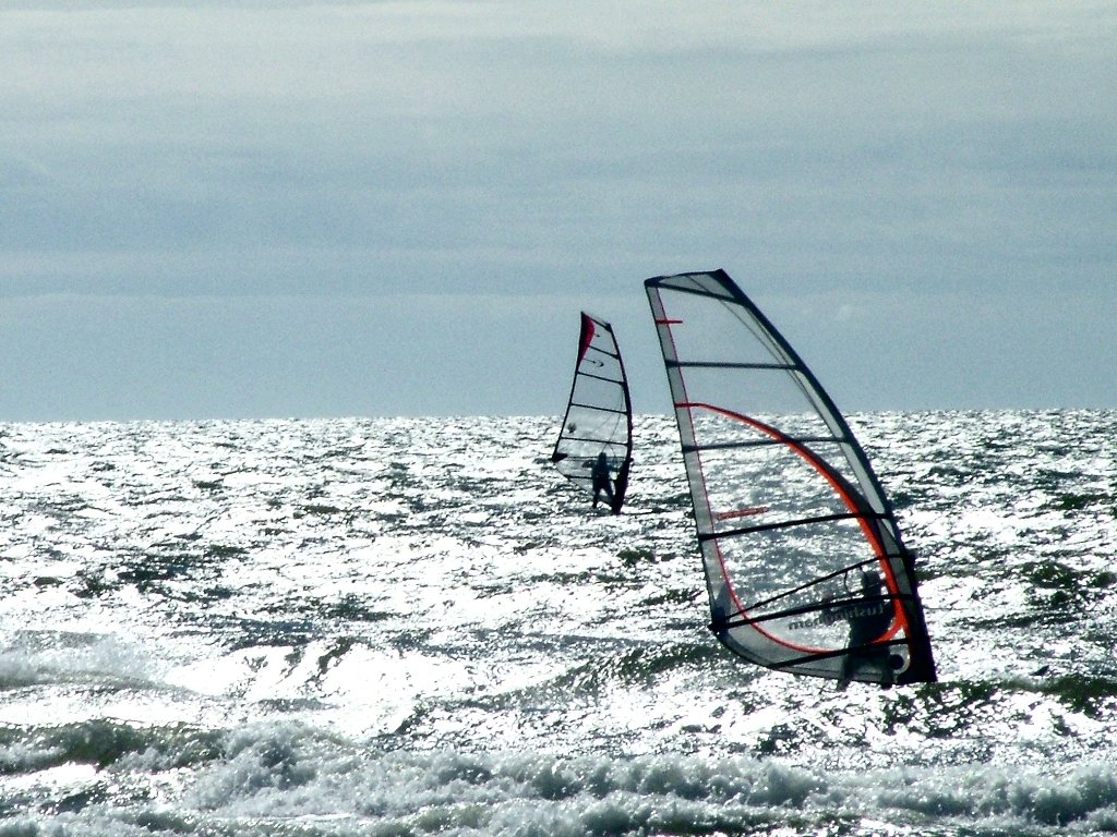 Click now to see this image full size.