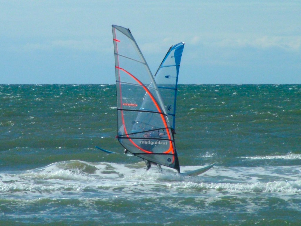 Click now to see this image full size.