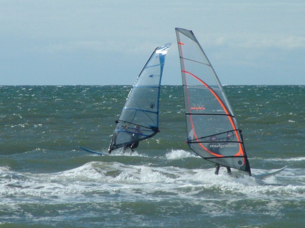 Click now to see this image full size.