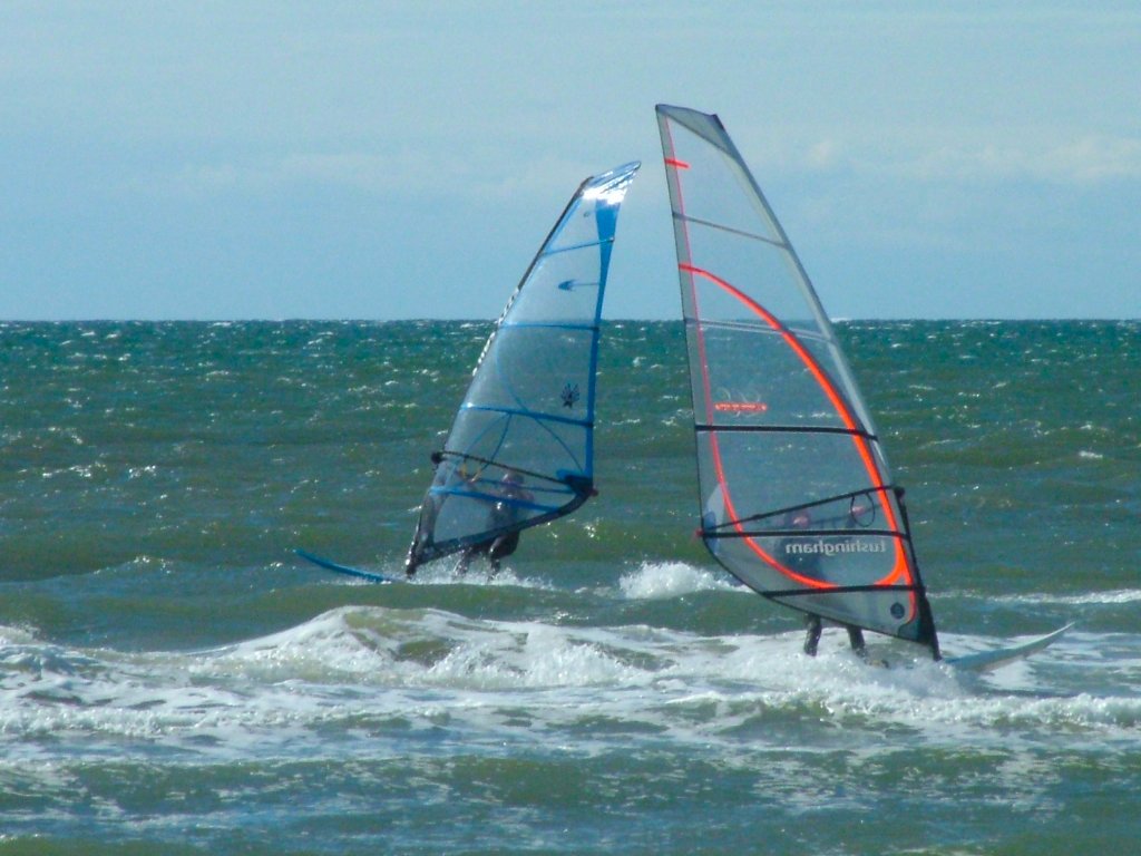 Click now to see this image full size.