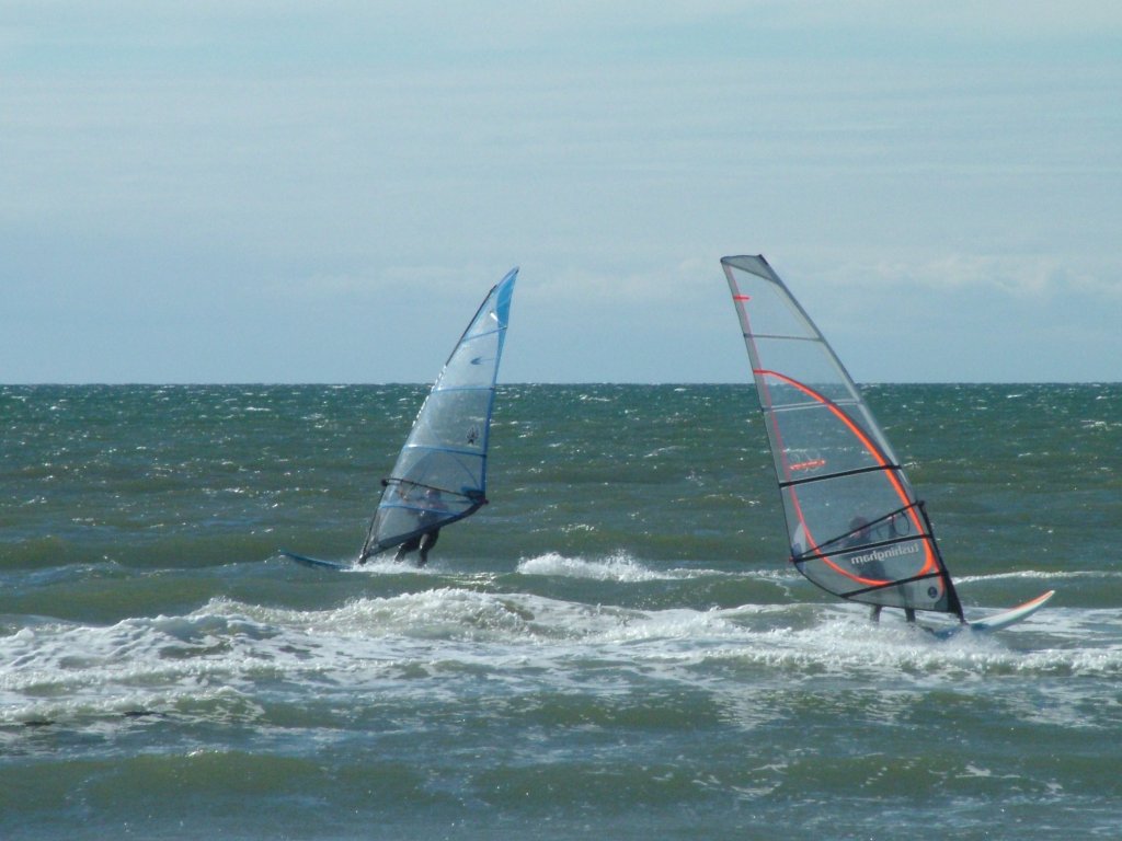 Click now to see this image full size.