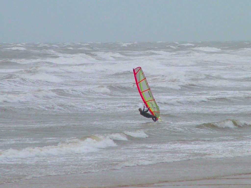 Click now to see this image full size.