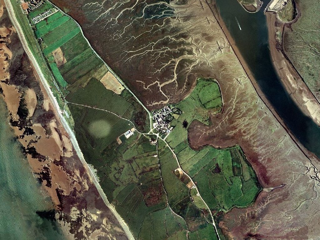 Click now to see this image full size.