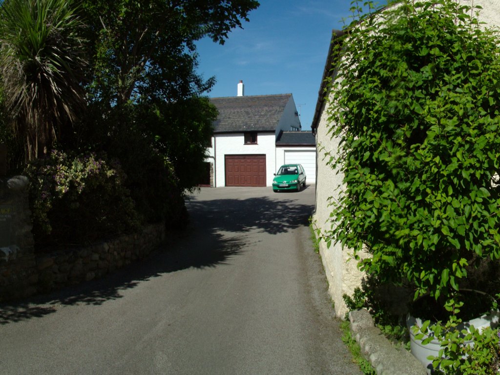 Click now to see this image full size.