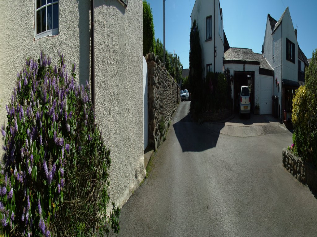 Click now to see this image full size.