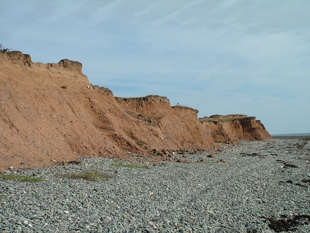 Click now to see this image full size.