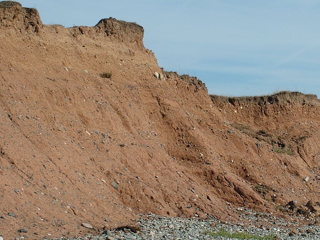 Click now to see this image full size.