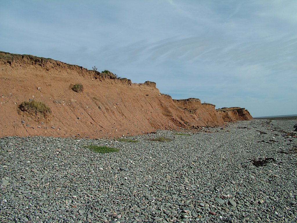 Click now to see this image full size.