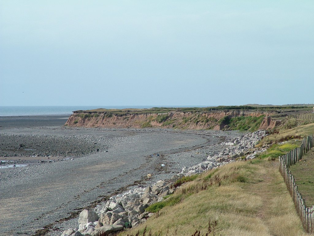 Click now to see this image full size.