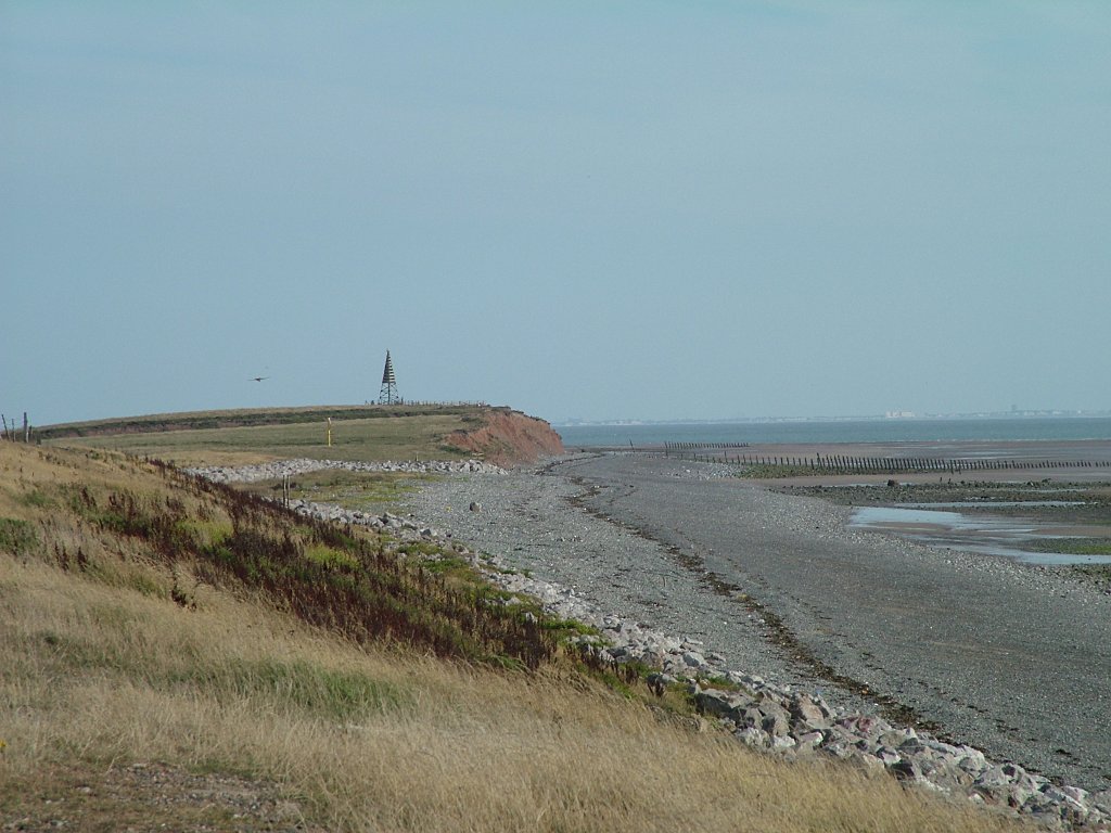 Click now to see this image full size.