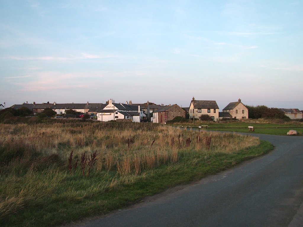 Click now to see this image full size.