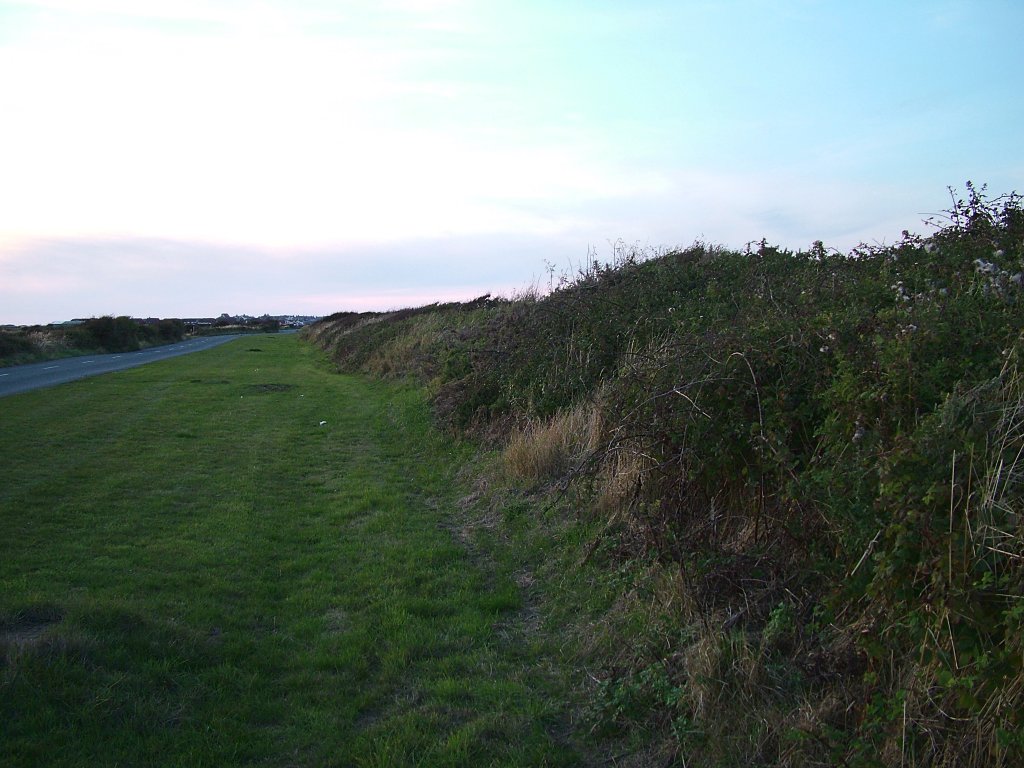 Click now to see this image full size.