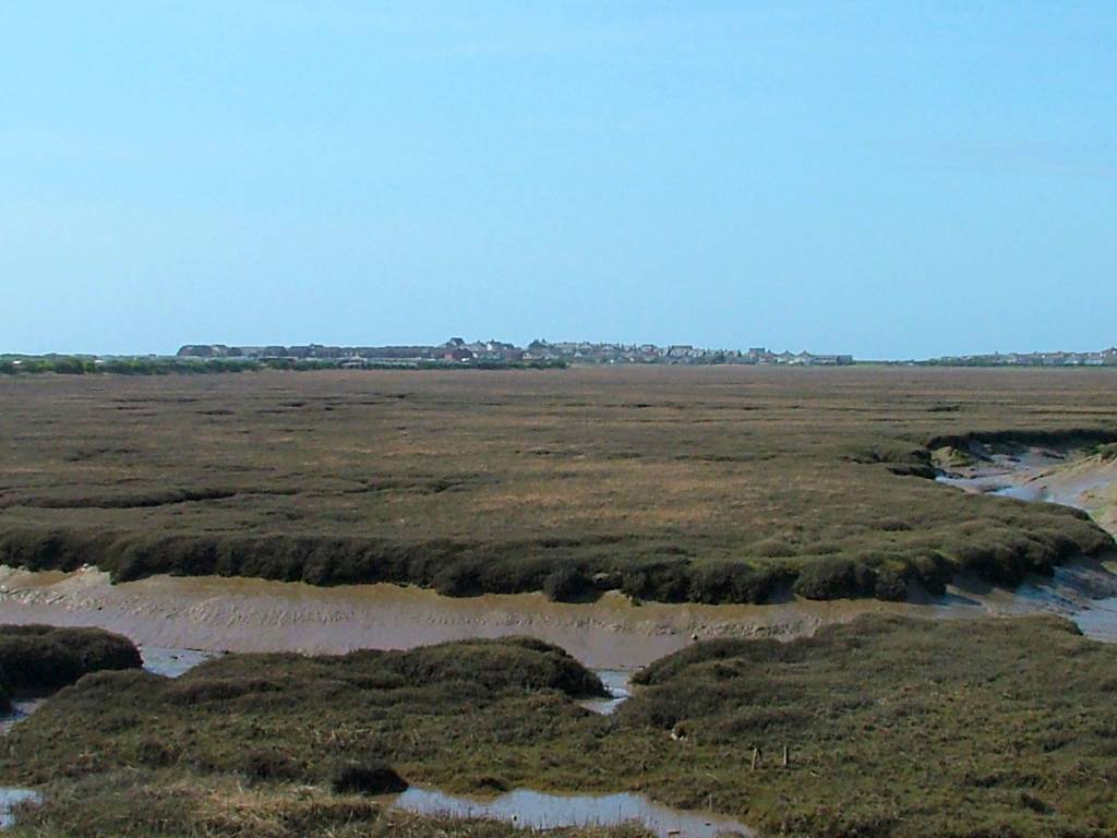 Click now to see this image full size.