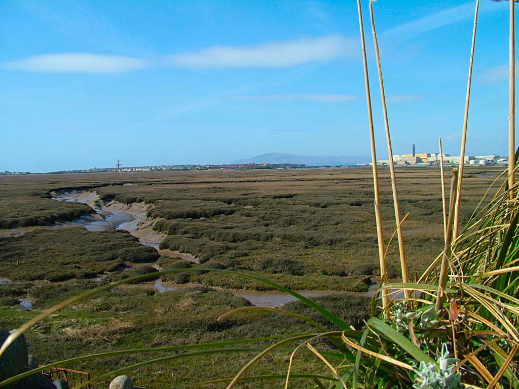 Click now to see this image full size.