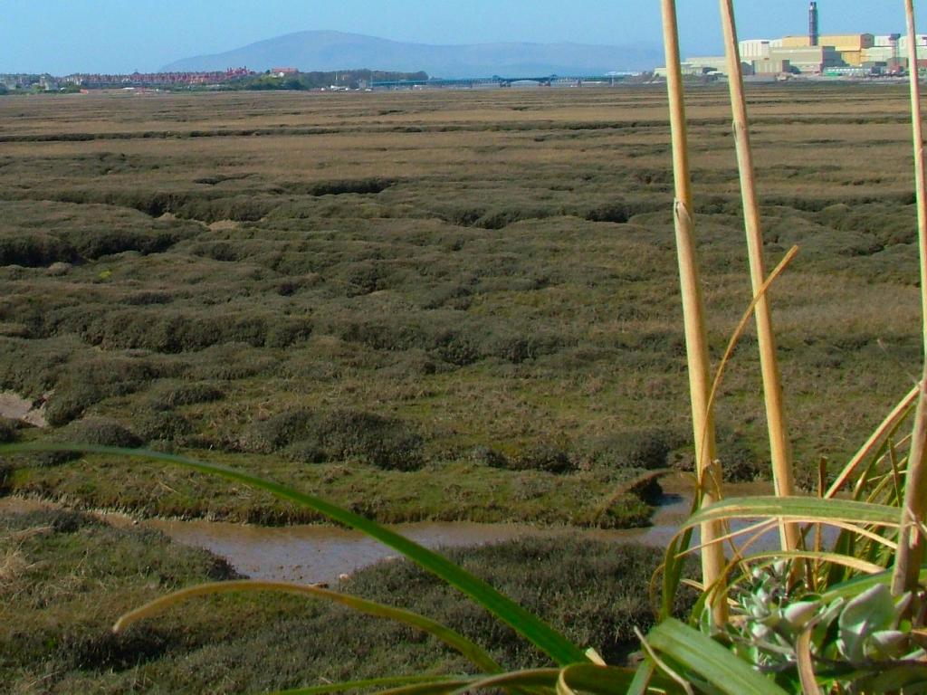 Click now to see this image full size.