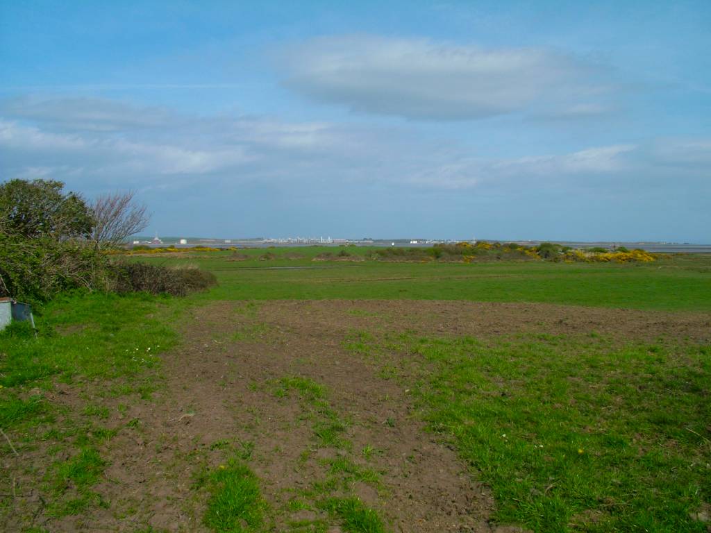 Click now to see this image full size.