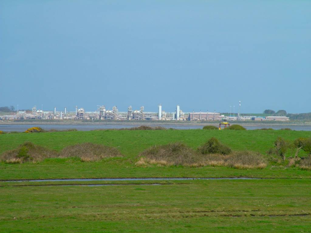 Click now to see this image full size.