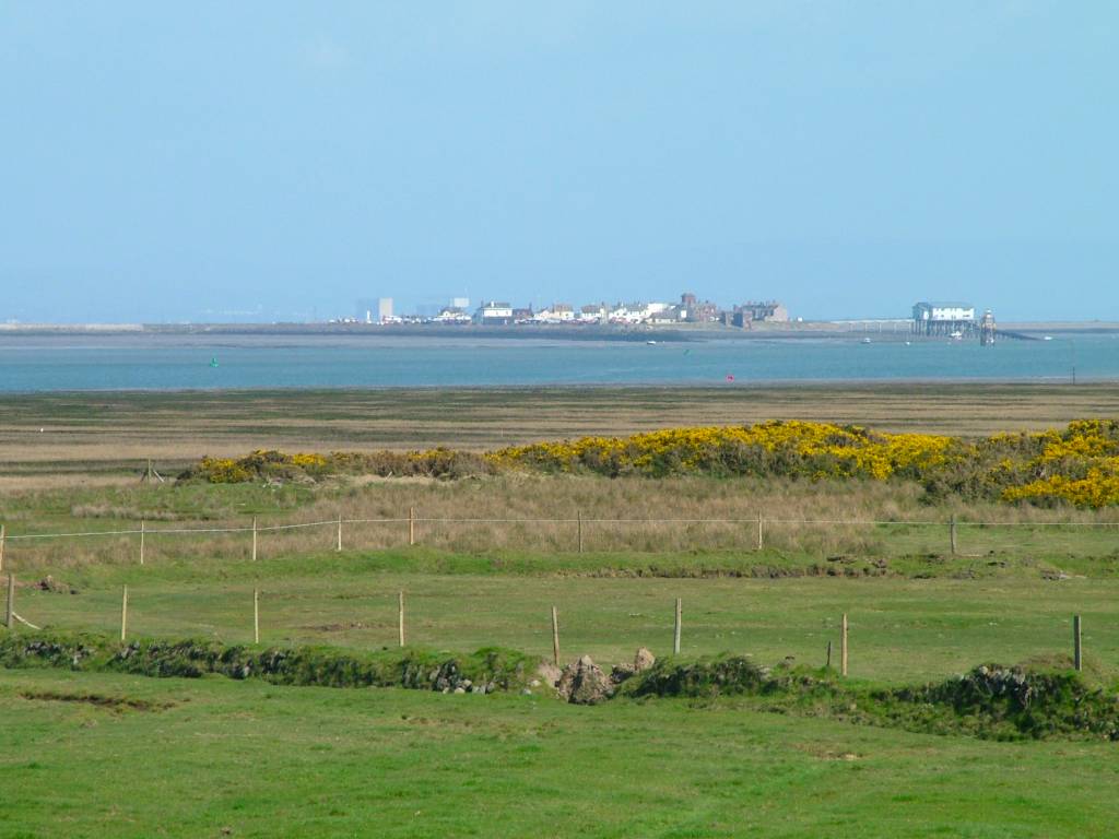 Click now to see this image full size.